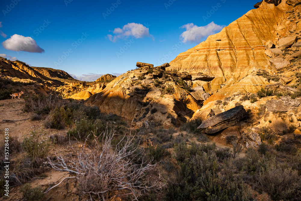 Obraz premium meteorological phenomenon