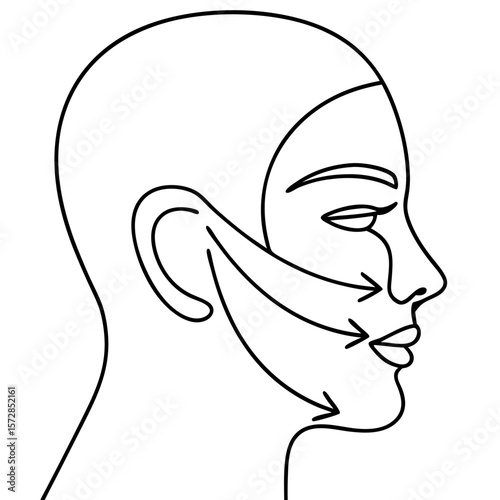 Face lift arrows show surgical direction on woman's face. Face lift arrows indicating plastic surgery procedure for anti-aging and rejuvenation. Illustrative face lift arrows for beauty, health,