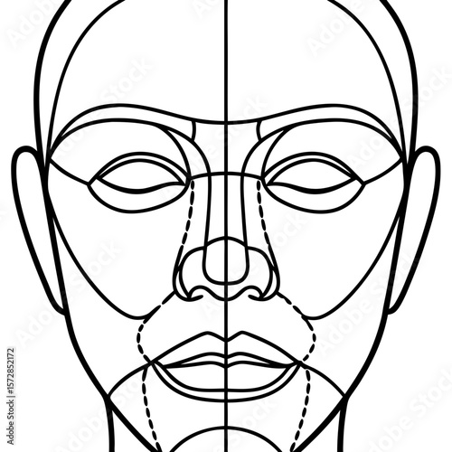 Face correction lines outline depicts an abstract human face, showcasing dotted lines for facial measurements and proportions, as used in aesthetic procedures.
