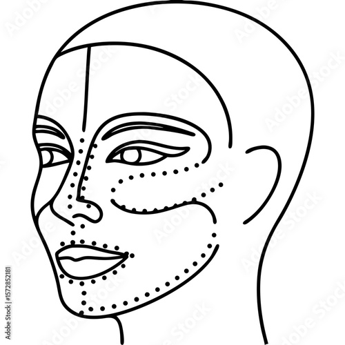 Human face with correction lines, a schematic representation showing zones for cosmetic procedures or digital retouching. This face with correction lines details areas for contouring and enhancement.