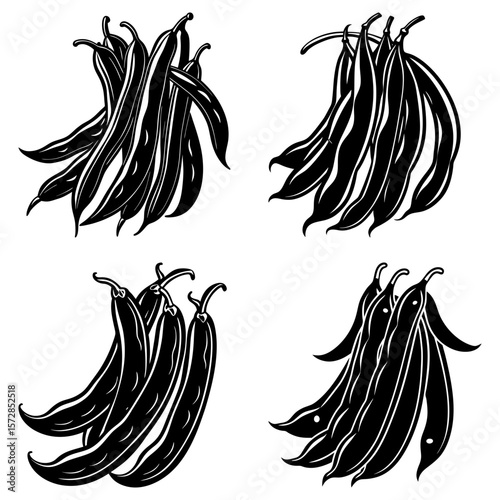 Illustration showing four groupings of black and white string beans in a vector format style