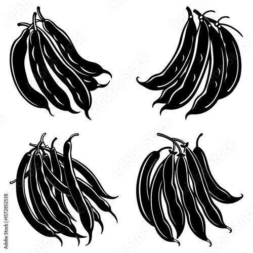 Four bunches of black and white string beans in an artistic style, isolated on a white background