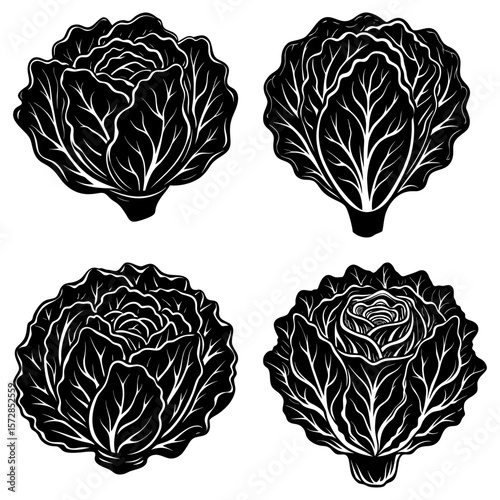 Four black and white stylized cabbage heads with detailed leaf patterns arranged symmetrically on white