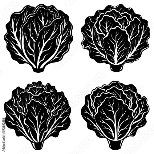 Four black and white stylized cabbage heads with detailed leaf venation arranged in a square pattern