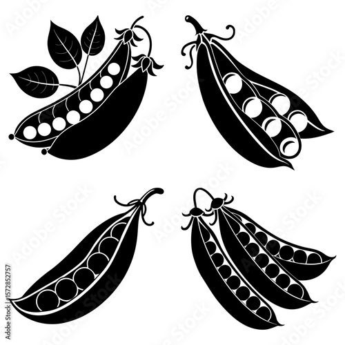 Illustration of four black and white stylized pea pods with visible peas and leaves on a white background
