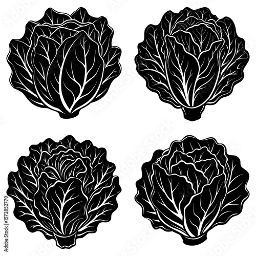 Four black and white stylized cabbages with detailed leaf patterns arranged on a white background