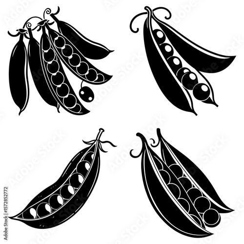 Illustration of four pea pods with peas inside in black and white vector design style image art