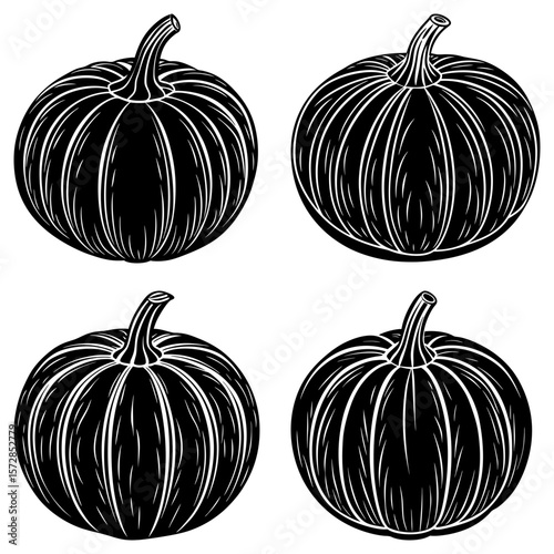 Four pumpkins with detailed line work in black and white creating a seasonal autumn harvest theme image