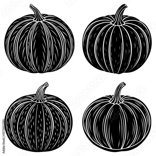 Four pumpkins in black and white with detailed line work showcasing their ribbed texture and stems design