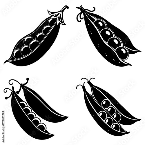 Black and white illustration of four pea pods with peas inside on a white background vector design