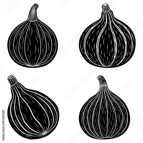 Four black and white figs arranged in a square pattern with detailed line work and shading style art