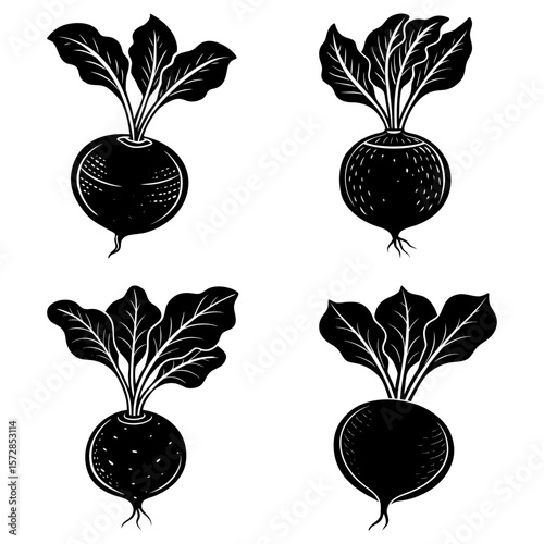 Four black and white illustrations of beets with leaves in a square format on a white background