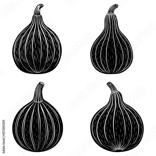 Four gourd illustrations in black and white with detailed line work and unique shapes displayed nicely