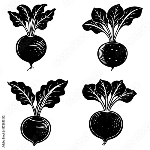 Four black and white illustrations of beets with leaves in various styles and orientations shown