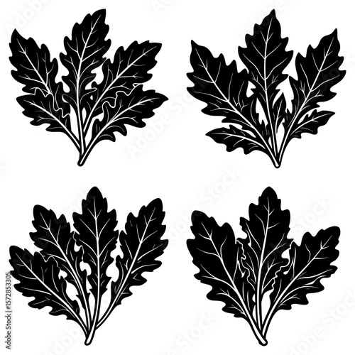 Four black and white arugula bunches with detailed leaf veins and jagged edges arranged symmetrically