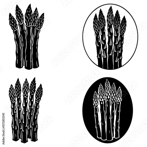 Illustration of asparagus spears in various arrangements and styles on a white background design element