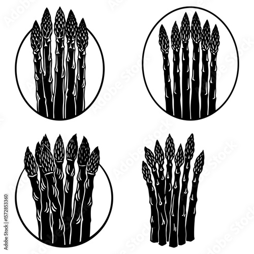 Four black and white asparagus bunches in circles and a cluster illustration vector design
