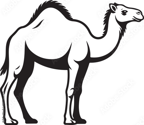 camel on white background