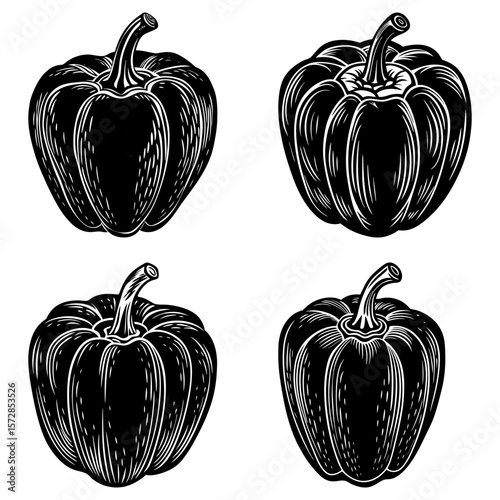 Four monochrome bell peppers with detailed line work and shading arranged in a square pattern design