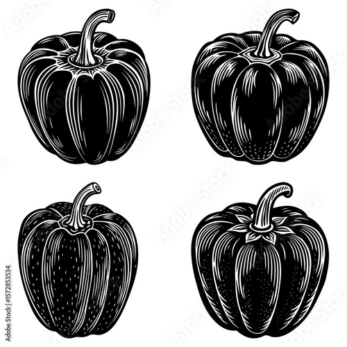 Illustration of four black and white pumpkins with detailed line work and varying positions shown here