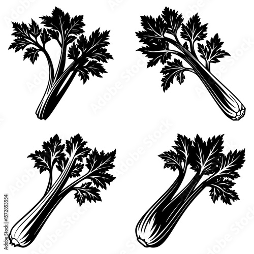 Four black and white illustrations of celery stalks with detailed leaves in varying orientations