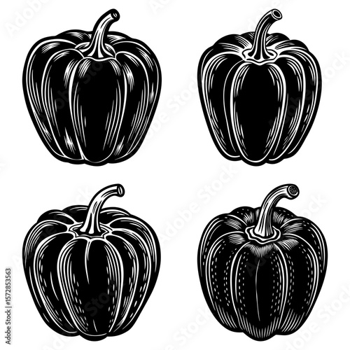 Four monochrome pumpkins with detailed line work and stems arranged in a square pattern on white