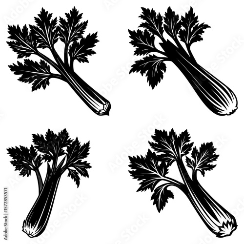 Four black and white vector illustrations of celery stalks with detailed leaves evenly spaced