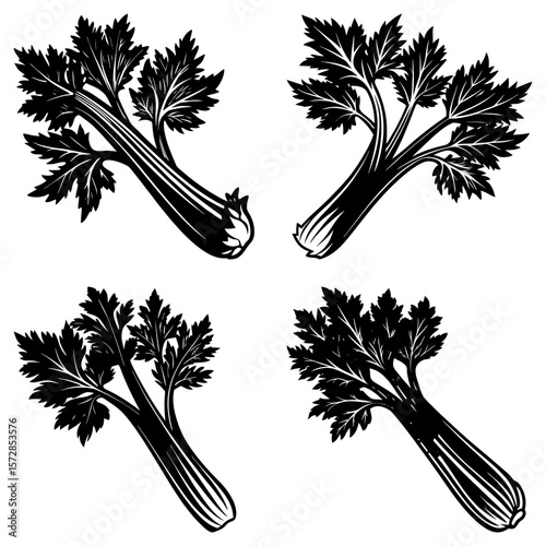 Four black and white vector illustrations of celery stalks with detailed leaf structures isolated