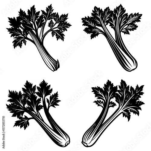 Four stylized celery stalks with detailed leaves and stalks in a black and white vector design element