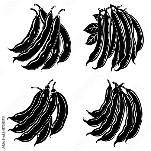 Four bunches of black and white string beans with leaves vector illustration graphic design element