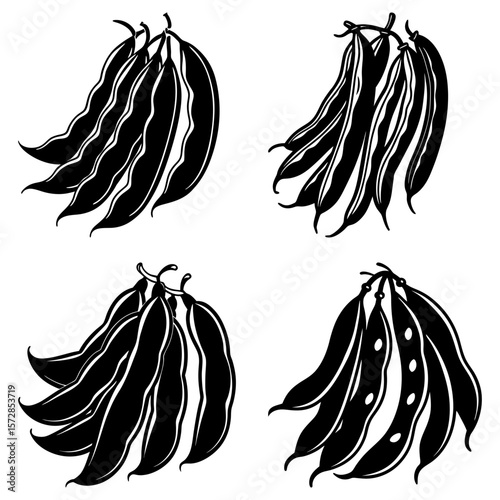 Four bunches of black and white bean pods hanging in a square arrangement on a white background