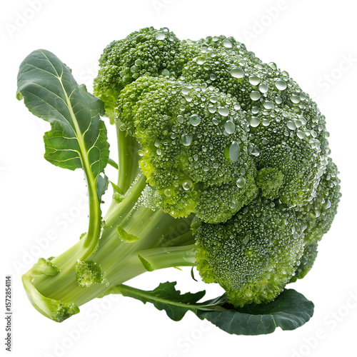 Fresh Green Broccoli Head with Water Droplets Isolated on White Background - Healthy Vegetable Still Life Stock Photo