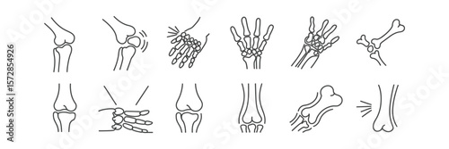 Skeletal System Outlines Knee, Hand Bones and Joints in Medical Line Art