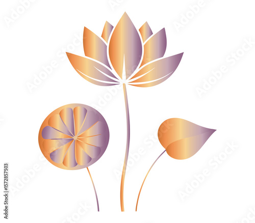 Ethereal Lotus Flower Illustration with Gradient Coloring and Stylized Design on a Black Backdrop