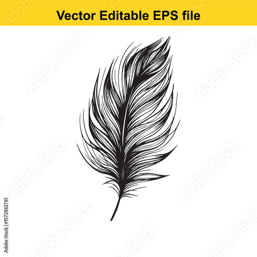 Detailed Hand Drawn Feather Illustration Decorative Design Element Elegance and Nature Combined for Visual Appeal and Artistic Touch