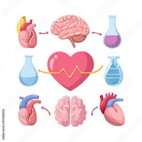Anatomy of a thought: This illustration reveals the complex interplay of the heart and mind in a vibrant display of human anatomy.