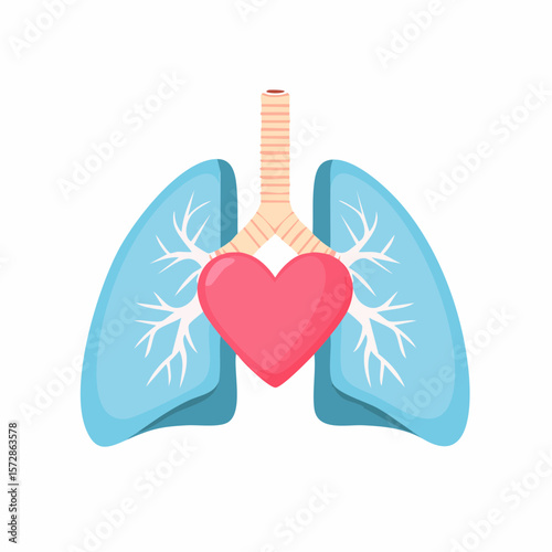 Healthy Heart and Lungs: Illustrative representation of healthy heart nestled between the lungs, symbolizing life, breath, and vitality.