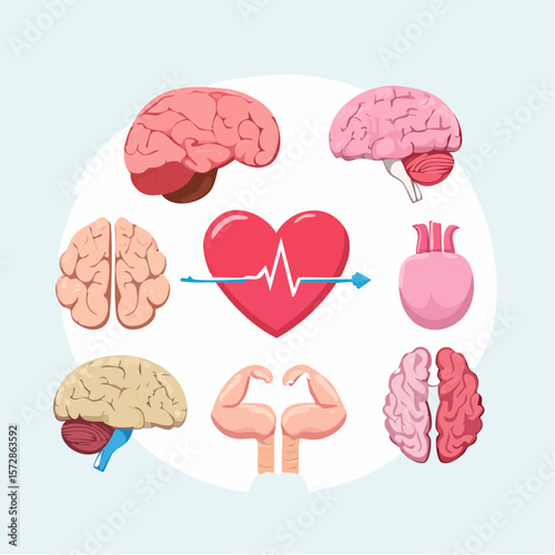 Anatomy's Harmony: An illustrative image depicts the interconnectedness of the human body through a visually engaging, artistic representation, highlighting the brain, heart, and muscles.