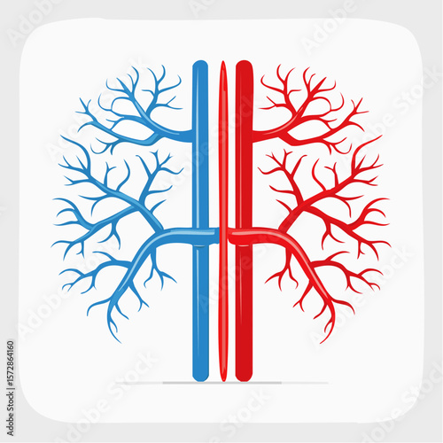 Medical Abstract: A striking medical illustration showcasing the complex network of blood vessels and arteries that play a vital role in circulating blood throughout the body.