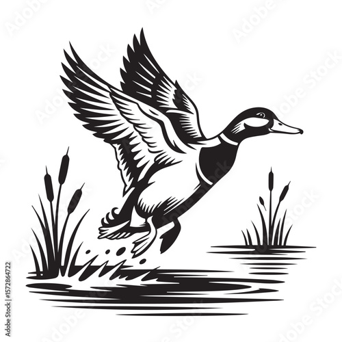 A majestic mallard duck gracefully taking off from a tranquil lake, surrounded by reeds