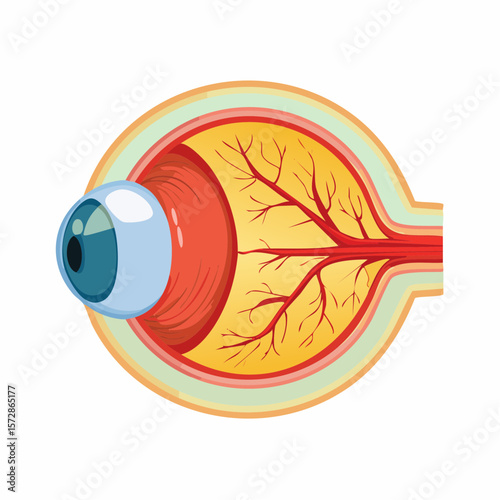 Anatomy of Vision: A detailed, illustrative depiction of the human eye, with a cross-section showcasing the intricate internal structures that enable sight.