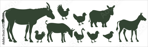 Farm animals and donkeys horse chicken