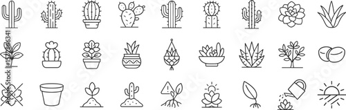 Succulent and cactus care and identification line icon set, including popular species. Desert plants, soil, watering and sunlight care symbols shown in minimalist vector illustration.