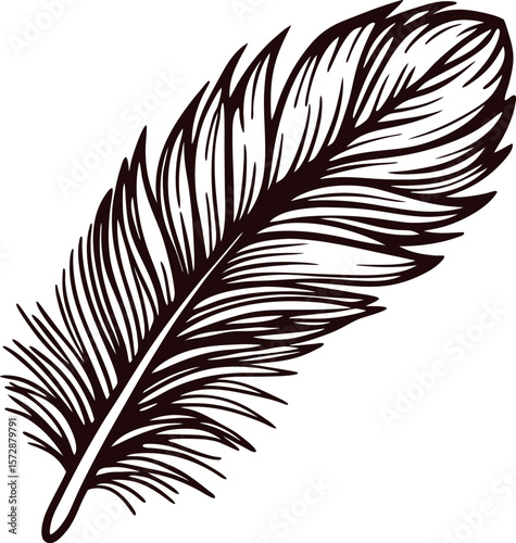 Intricate hand drawn feather illustration in vintage engraving on white background