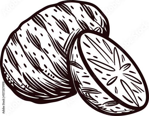 Hand drawn illustration of whole and sliced potato in vintage engraving isolated on white background