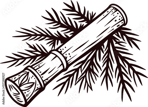 Vintage hand drawn sugarcane stalk with tropical leaves illustration isolated on white engraved botanical