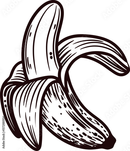 Hand drawn peeled banana illustration in vintage engraved isolated on white background