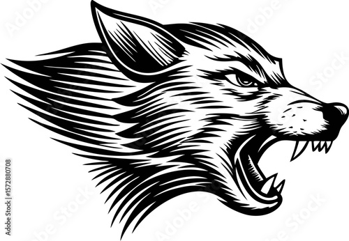 Aggressive howling wolf head illustration with sharp fur details in black and white engraving