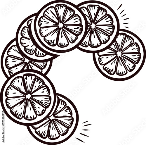 Hand drawn lemon slices arranged in a curved pattern in vintage engraved illustration