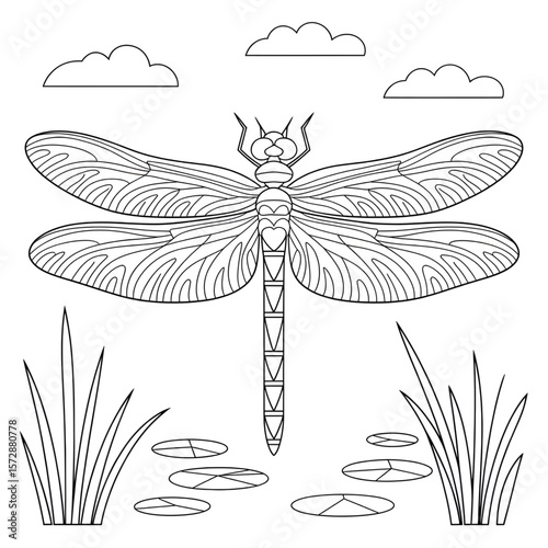 Beautiful line drawing dragonfly coloring page